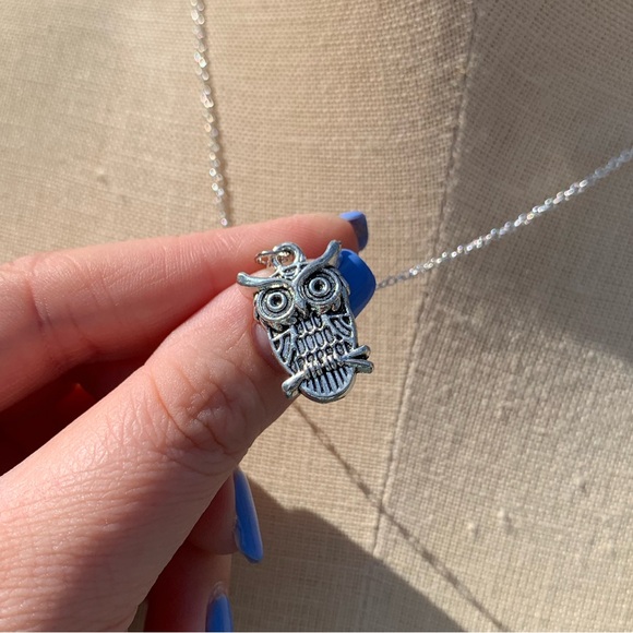 NWT Sterling Silver Plated Chain & Owl Alloy Metal Charm Necklace - Picture 3 of 9